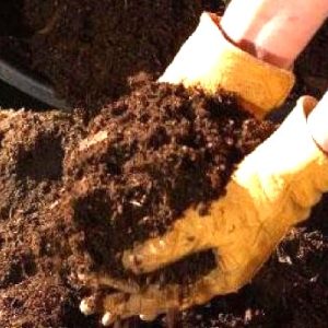 Engrais granulé Bio-organique BIODEPOSIT AGRO 10 kg – Toutes les cultures