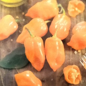 Semence de PIMENT HABANERO JAUNE 50 gr