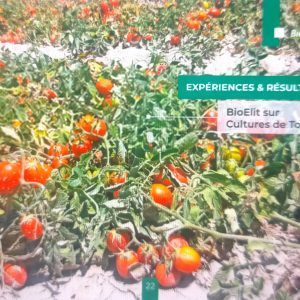 Insecticide liquide 100% Bio BIOELIT 1 litre – Tomate