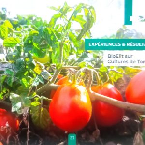 Insecticide liquide 100% Bio BIOELIT 1 litre – Tomate