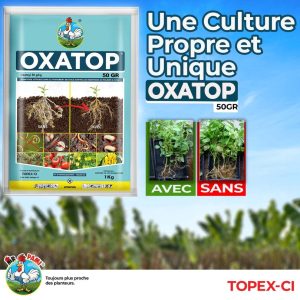 Nématicide granulé OXATOP 50 GR 1 kg – Palmier à huile, cultures maraichères, banane