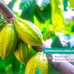 Régulateur de croissance liquide 100% Bio BIOELIT 1 litre – Type Cacao