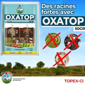 Nématicide granulé OXATOP 50 GR 1 kg – Palmier à huile, cultures maraichères, banane
