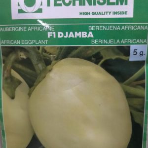 Semence hybride d&rsquo;AUBERGINE AFRICAINE F1 DJAMBA 5 gr