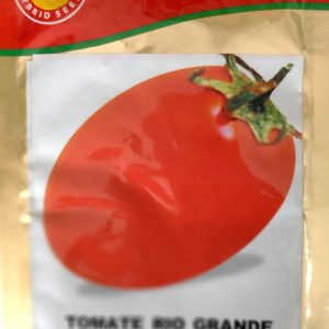 Semence de TOMATE RIO GRANDE 10 gr AHS