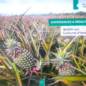 Insecticide liquide 100% Bio BIOELIT 1 litre – Ananas