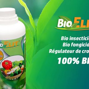 Insecticide liquide 100% Bio BIOELIT 1 litre – Type Maraicher