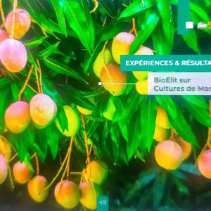 Insecticide liquide 100% Bio BIOELIT 1 litre – Manguier