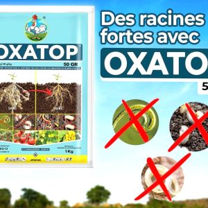 Nématicide granulé OXATOP 50 GR 1 kg – Palmier à huile, cultures maraichères, banane