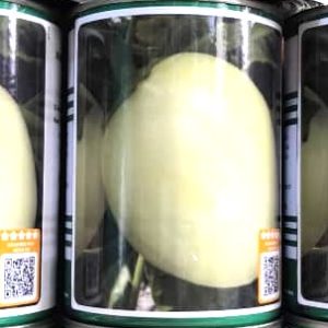 Semence hybride d&rsquo;AUBERGINE AFRICAINE F1 DJAMBA 50 gr