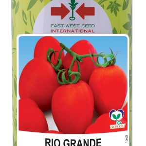 Semence de TOMATE RIO GRANDE 50 gr EWSI