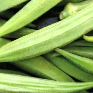 Semence de GOMBO INDIANA+