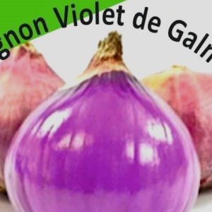 Semence d&rsquo;OIGNON VIOLET DE GALMI 10 gr