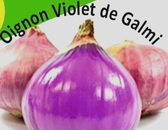 Semence d’OIGNON VIOLET DE GALMI 10 gr