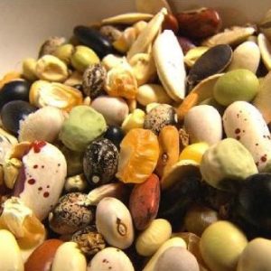 Engrais foliaire Bio-organique BIODEPOSIT EXILIR 12 ml – Cultures maraichères