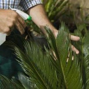 Engrais foliaire Bio-organique BIODEPOSIT EXILIR 12 ml – Palmier à huile