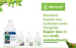 Nettoyant liquide naturel multi-usage SUPER 10 1 litre – Elevage, intérieur et extérieur domicile