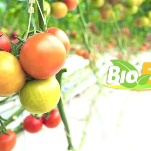 Insecticide liquide 100% Bio BIOELIT 1 litre – Type Maraichers