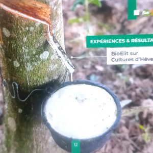 Insecticide liquide 100% Bio BIOELIT 1 litre – Type Hévéa
