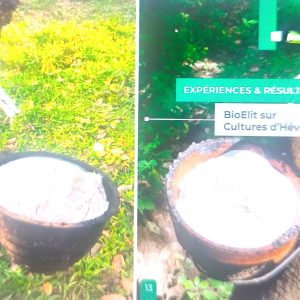 Bio-insecticide liquide BIOELIT 1 litre – Type Hévéa