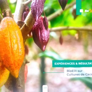 Insecticide liquide 100% Bio BIOELIT 1 litre – Type Cacao