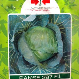 Semence hybride de CHOU PAKSE 287 F1 1 gr
