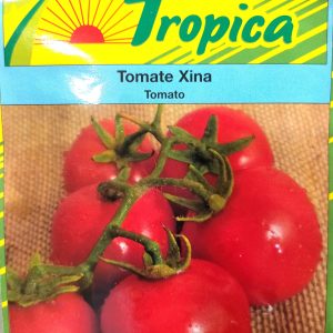 Semence de TOMATE XINA 2 gr Tropica