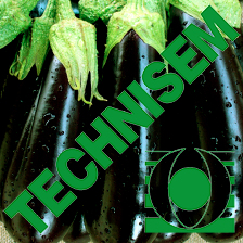 Semence hybride d&rsquo;AUBERGINE F1 KALENDA 1 gr