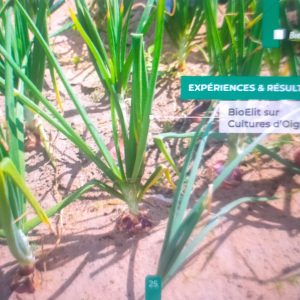 Insecticide liquide 100% Bio BIOELIT 1 litre – Oignon