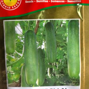 Semence hybride de CONCOMBRE HYBRIDE F1 L-04 1 gr