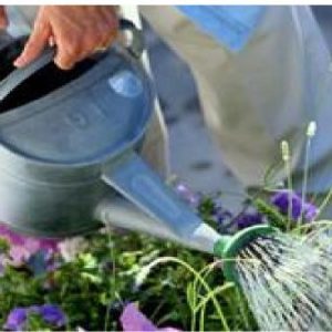 Engrais foliaire Bio-organique BIODEPOSIT EXILIR 12 ml – Fleur