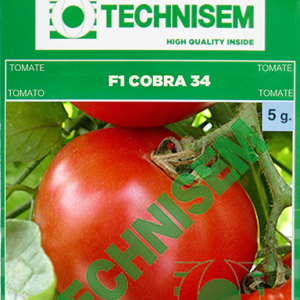 Semence hybride de TOMATE F1 COBRA 34 5 gr