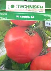 Semence hybride de TOMATE F1 COBRA 34 5 gr