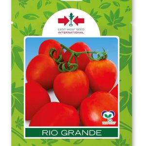 Semence de TOMATE RIO GRANDE 10 gr EWSI