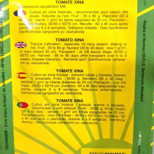 Semence de TOMATE XINA 2 gr Tropica