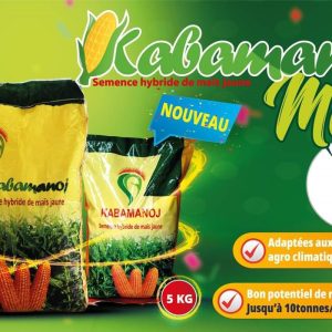 Semence hybride de MAIS JAUNE KABAMANOJ F1 5 kg