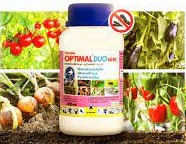 Insecticide liquide OPTIMAL DUO 50 EC 250 ml – Cultures maraichères
