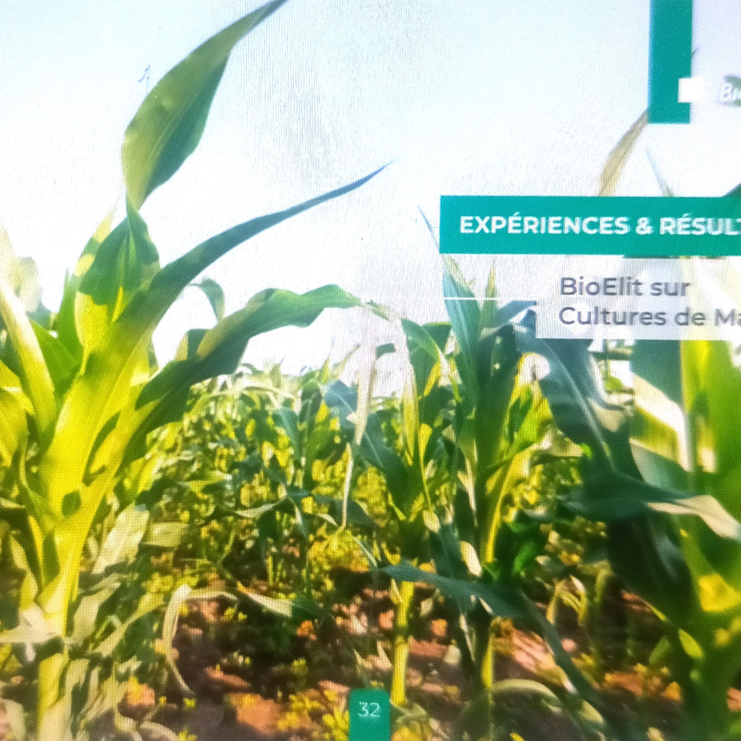 Insecticide liquide 100% Bio BIOELIT 1 litre – Type Céréales