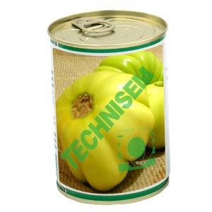 Semence d&rsquo;AUBERGINE AFRICAINE KEUR MBIR NDAO 50 gr