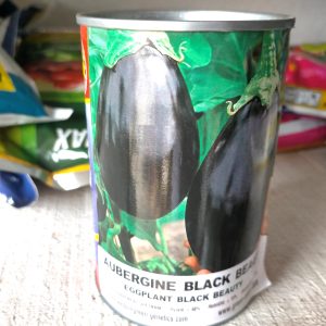 Semence d’AUBERGINE BLACK BEAUTY 50 gr
