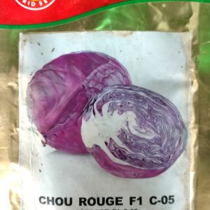 Semence hybride de CHOU ROUGE F1 C-05 5 gr