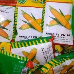Semence hybride de MAIS F1 VN 10 5 gr Green seeds