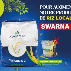 Semence hybride de RIZ SWARMA 2 F1 5 kg
