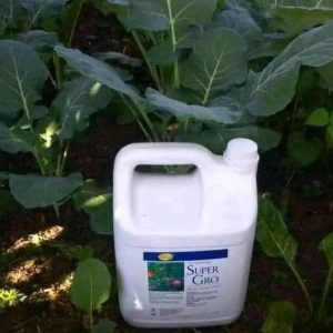 Engrais foliaire bio-organique SUPER GRO 5 litres – Pomme de terre