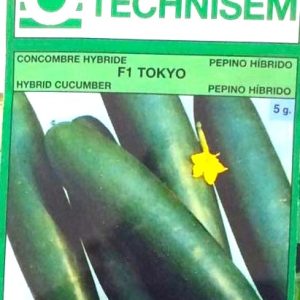 Semence hybride de CONCOMBRE HYBRIDE F1 TOKYO 5 gr