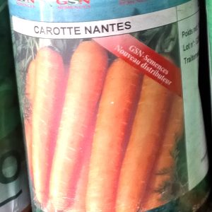 Semence de CAROTTE NANTES 50 gr