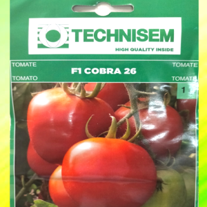 Semence hybride de TOMATE F1 COBRA 26 1 gr