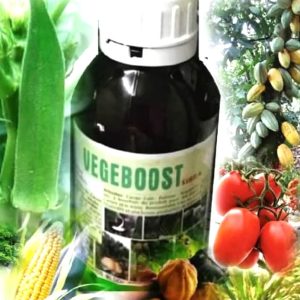 Engrais-fongicide foliaire biologique VEGEBOOST SIBRA 500 ml – Cacao