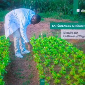 Insecticide liquide 100% Bio BIOELIT 1 litre – Oignon