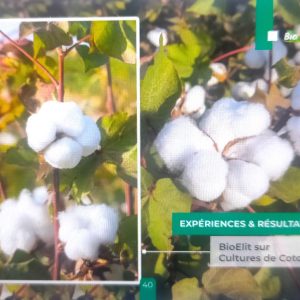 Insecticide liquide 100% Bio BIOELIT 1 litre – Type Coton et Anacarde